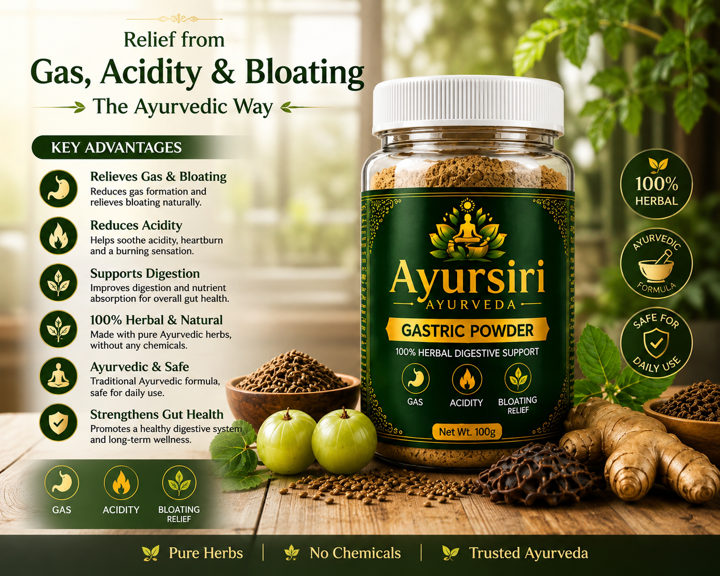 AYURSIRI GASTRIC POWDER 20DAYS CHALLENGE