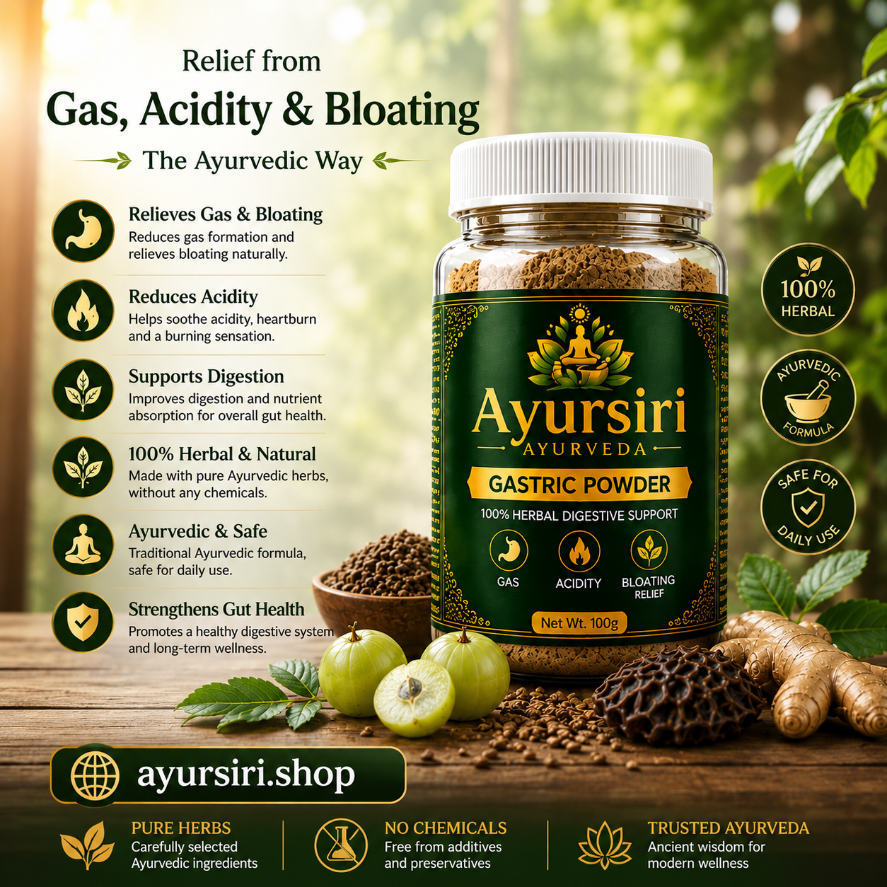 AYURSIRI GASTRIC POWDER 20DAYS CHALLENGE