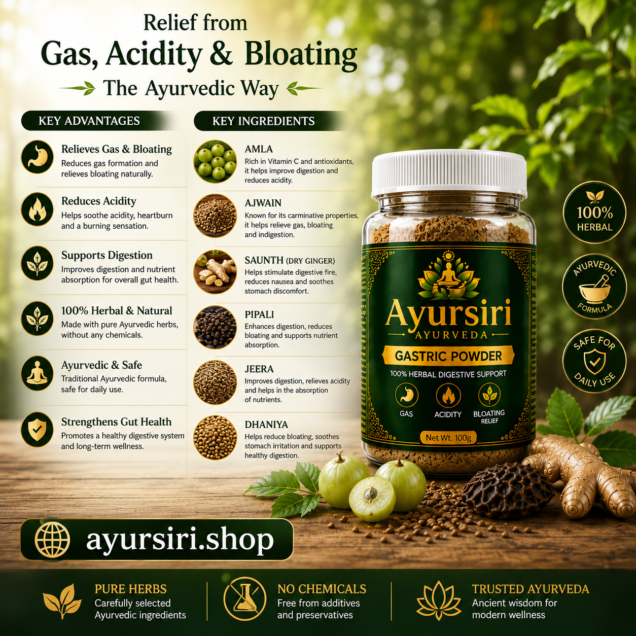 AYURSIRI GASTRIC POWDER 20DAYS CHALLENGE